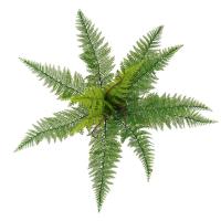 uploads/erp/collection/images/Home Garden/CongDing/XU0610798/img_b/XU0610798_img_b_5